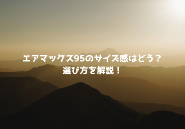 エアマックス95の履き心地 レビュー 足サイズはどれくらい スニーカープレイス