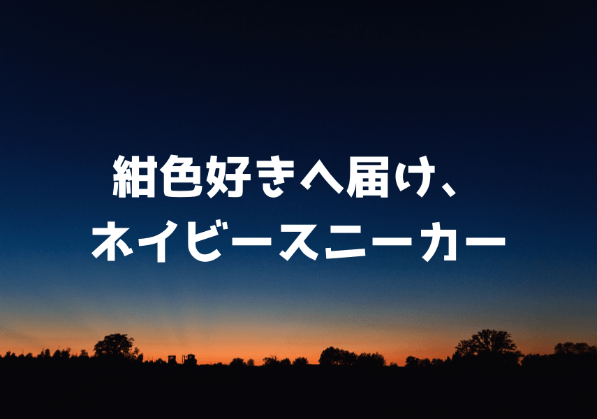 紺色好きに届け ネイビーのスニーカーおすすめ12選 メンズコーデ4選 スニーカープレイス